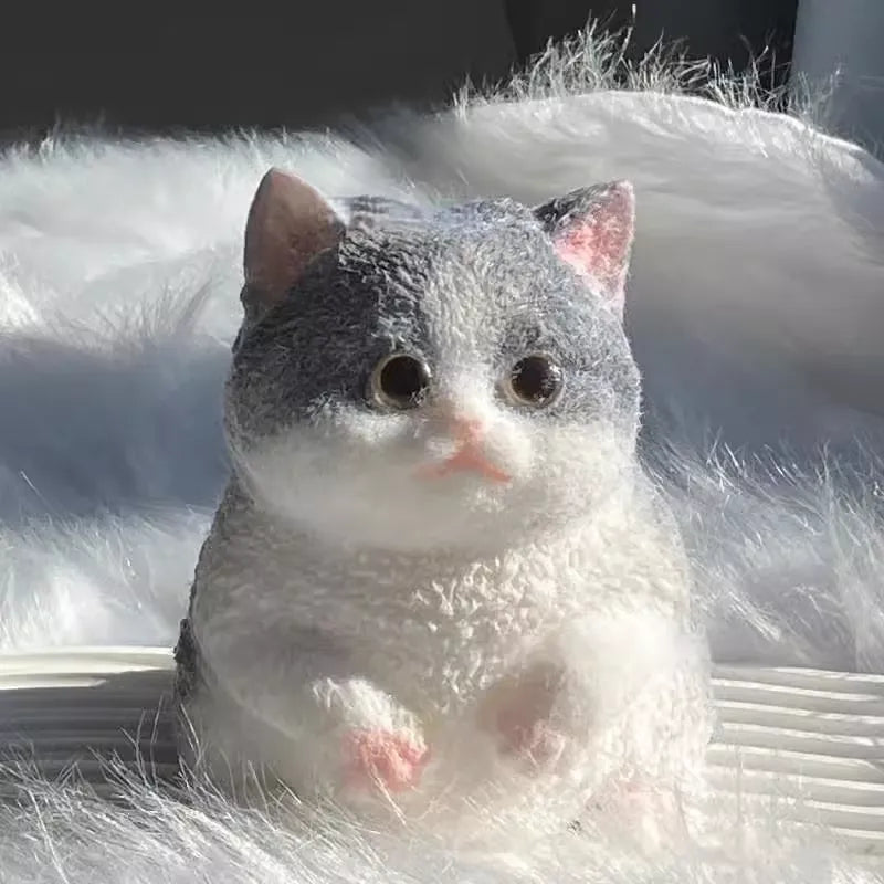 DIY simulation cat decompression pinch-B&W British Shorthair