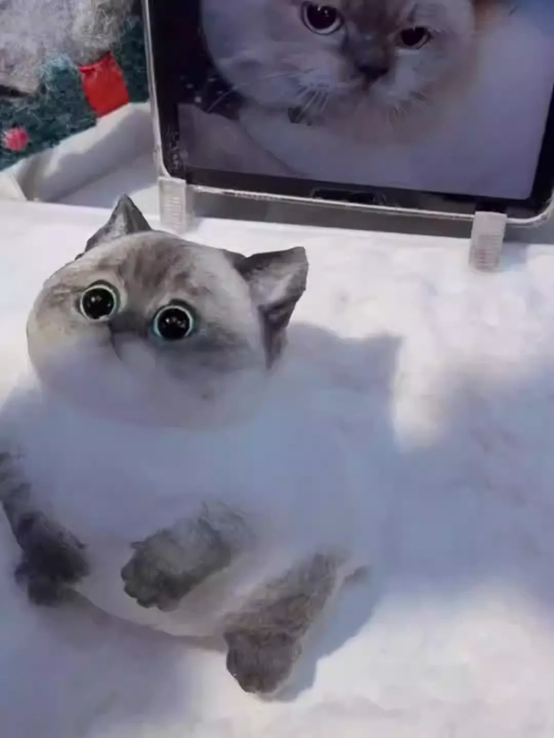 DIY simulation cat decompression pinch-B&W British Shorthair